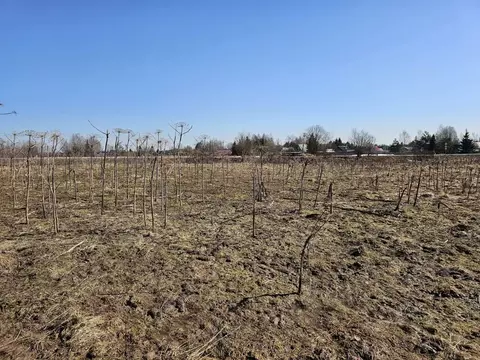 Участок в Московская область, Рузский муниципальный округ, д. Федчино  ...