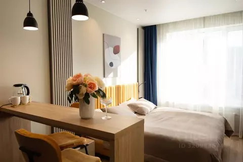 Студия Санкт-Петербург просп. Энергетиков, 8к1 (25.0 м)