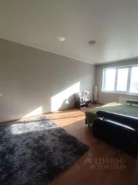 1-к кв. Омская область, Омск ул. Дмитриева, 4/1 (30.0 м)