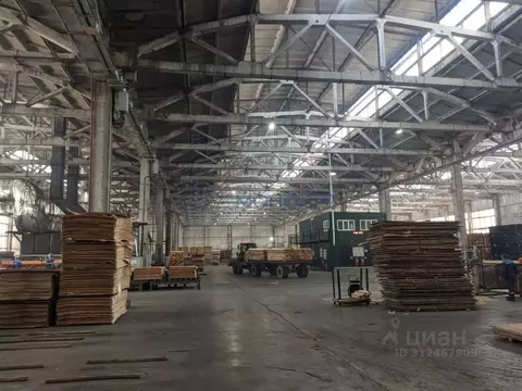 Производственное помещение в Нижегородская область, Семенов ул. ...