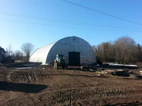 Производственное помещение в Ленинградская область, Кингисеппский ...