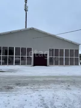 Помещение свободного назначения в Псковская область, Псков ул. ...