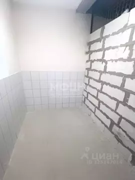 Помещение свободного назначения в Карелия, Петрозаводск ул. Петрова, ...