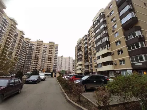 Помещение свободного назначения в Краснодарский край, Краснодар ...