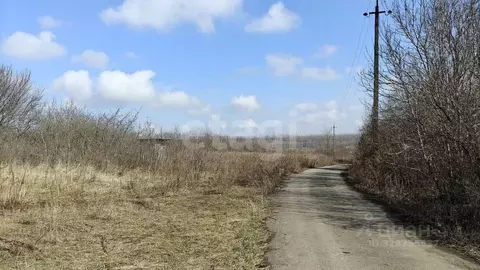 Участок в Белгородская область, Белгородский муниципальный округ, с. ...