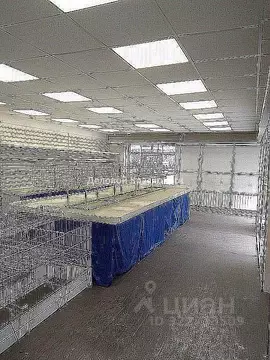 Торговая площадь в Красноярский край, Красноярск ул. Академика ...