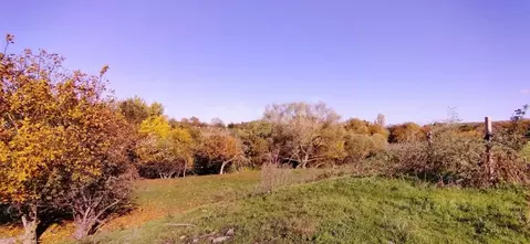 Участок в Крым, Кировский район, Первомайское с/пос, с. Изюмовка ул. ...