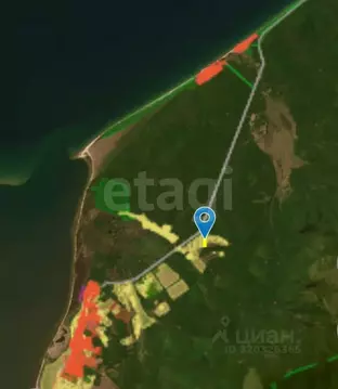 Участок в Бурятия, Кабанский район, с. Оймур  (352.27 сот.)