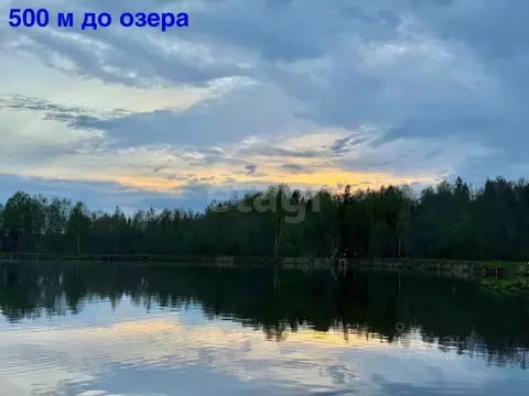 Участок в Московская область, Рузский муниципальный округ, д. Петряиха ...