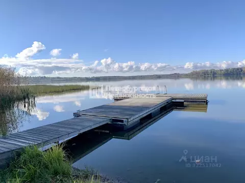 Участок в Ленинградская область, Выборгский район, Рощинское городское ...