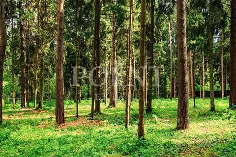 Участок в Московская область, Истра муниципальный округ, д. Чесноково, ...