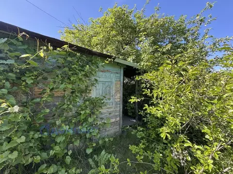 Участок в Самарская область, Кинель Станции Кинель СДТ,  (6.6 сот.)