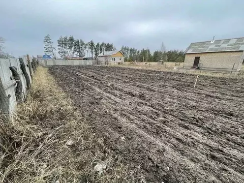 Участок в Воронежская область, Рамонский район, с. Новоживотинное ул. ...