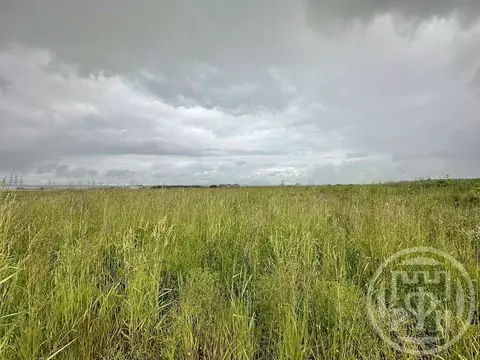 Участок в Ленинградская область, Всеволожский район, Заневское ...