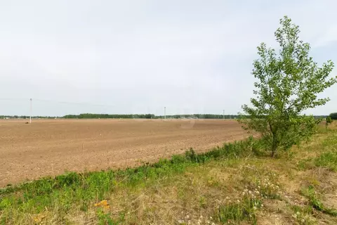 Участок в Тюменская область, Тюменский муниципальный округ, с. Каменка ...