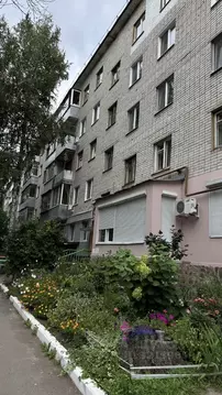 1-к кв. Брянская область, Брянск Октябрьская ул., 86 (30.3 м)