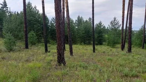 Участок в Бурятия, Улан-Удэ 121-й мкр,  (8.0 сот.)