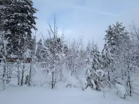 Участок в Коми, Корткеросский муниципальный район, Додзь муниципальное ...