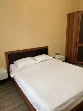 1-к кв. Ставропольский край, Ессентуки Кисловодская ул., 33 (40.0 м)