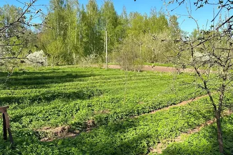 Участок в Северная Осетия, Владикавказ Весна садоводческое ...