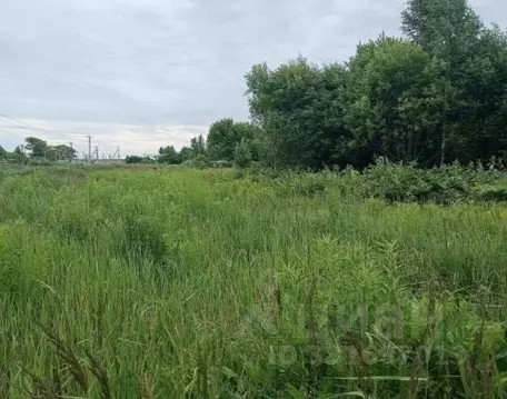 Участок в Московская область, Серпухов городской округ, с. Липицы  ...
