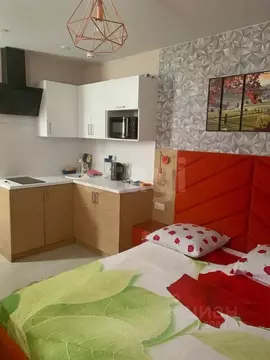 Студия Краснодарский край, Анапа Пионерский просп., 100Вк1 (17.5 м)