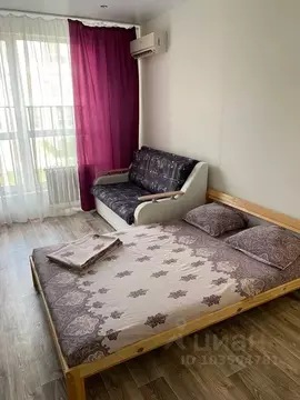 Студия Волгоградская область, Волгоград ул. Чапаева, 71 (24.0 м)