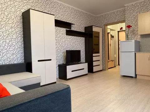 Студия Санкт-Петербург пос. Шушары, ул. Валдайская, 1 (25.0 м)