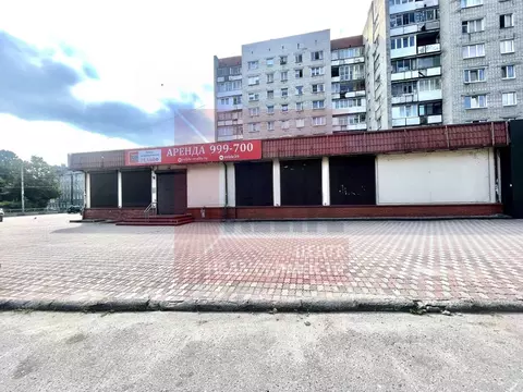 Торговая площадь в Калининградская область, Калининград Московский ...