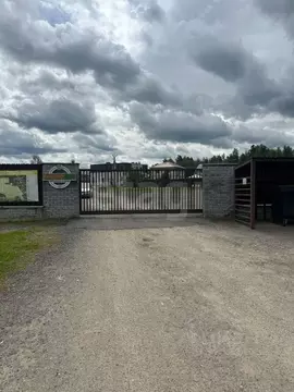 Участок в Московская область, Клин городской округ, Акатово парк кп  ...