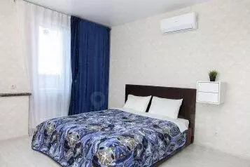 1-к кв. Новосибирская область, Новосибирск ул. Фрунзе, 49/1 (30.0 м)