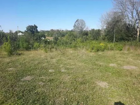 Участок в Воронежская область, Рамонский район, с. Чистая Поляна ...