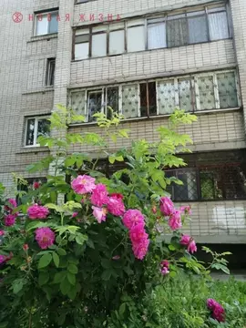 3-к кв. Самарская область, Самара просп. Юных Пионеров, 142а (79.5 м)