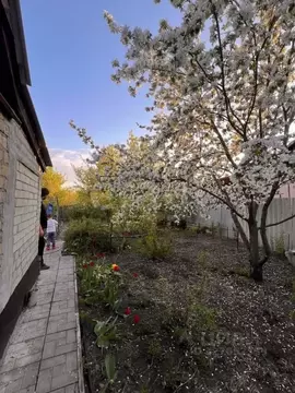 Дом в Саратовская область, Саратов Лесопильный СНТ,  (15 м)