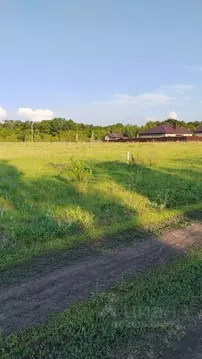 Участок в Московская область, Истра муниципальный округ, д. Куртниково ...