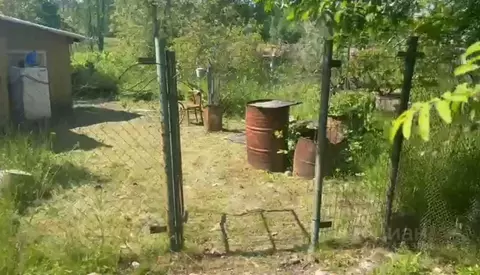 Участок в Ленинградская область, Приозерский район, Ларионовское ...