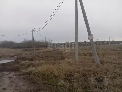 Участок в Воронежская область, Рамонский район, Новоживотинновское ...