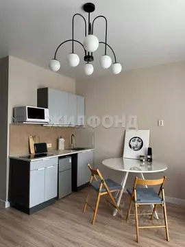 Студия Алтайский край, Барнаул Партизанская ул., 21 (23.1 м)