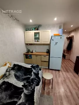 Студия Новосибирская область, Новосибирск ул. Виктора Уса, 9 (21.9 м)