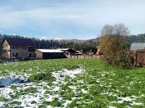 Участок в Алтай, Турочакский район, с. Усть-Пыжа Береговая ул. (10.0 ...