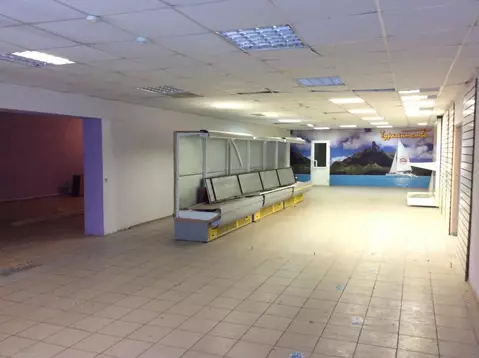 Помещение свободного назначения в Татарстан, Бавлы ул. Салиха ...