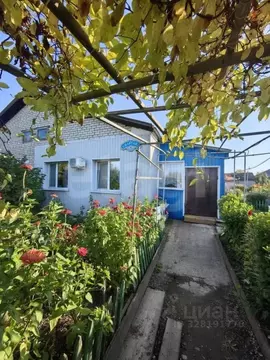 3-к кв. Амурская область, Прогресс пгт ул. Спартака, 39 (62.1 м)