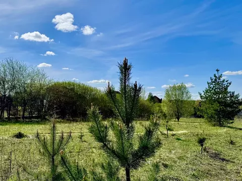 Участок в Московская область, Истра муниципальный округ, д. Красный ...
