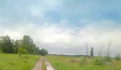 Участок в Калужская область, Дзержинский муниципальный округ, д. ...