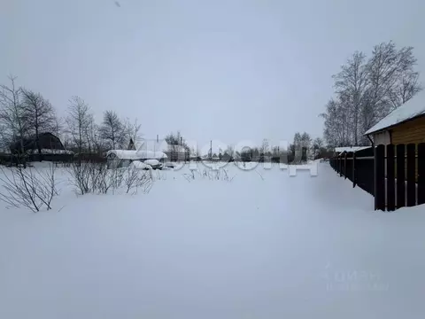 Участок в Новосибирская область, Новосибирский район, Толмачевский ...