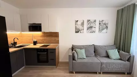 Студия Санкт-Петербург ул. Пахомовская, 12к2 (21.0 м)