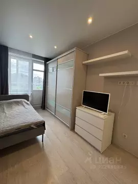 Студия Санкт-Петербург ул. Орджоникидзе, 52 (30.0 м)