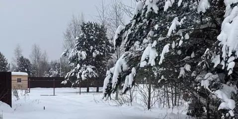 Участок в Московская область, Орехово-Зуевский городской округ, д. ...