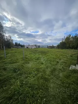 Участок в Ленинградская область, Всеволожский район, Лесколовское ...