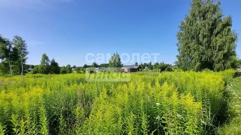 Участок в Нижегородская область, Бор муниципальный округ, д. Ильинское ...